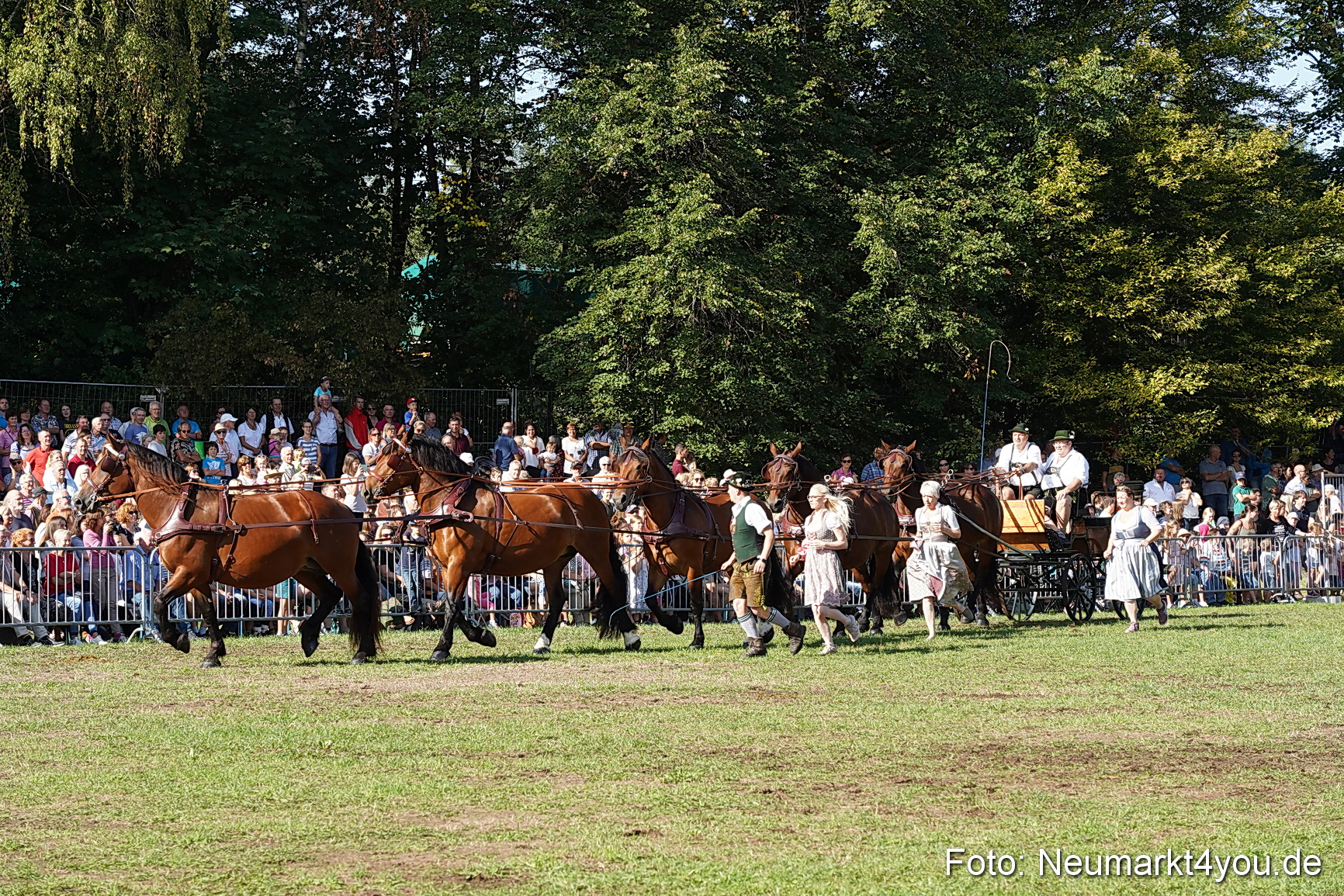 Pferde und Fohlenschau 2022 0068 
